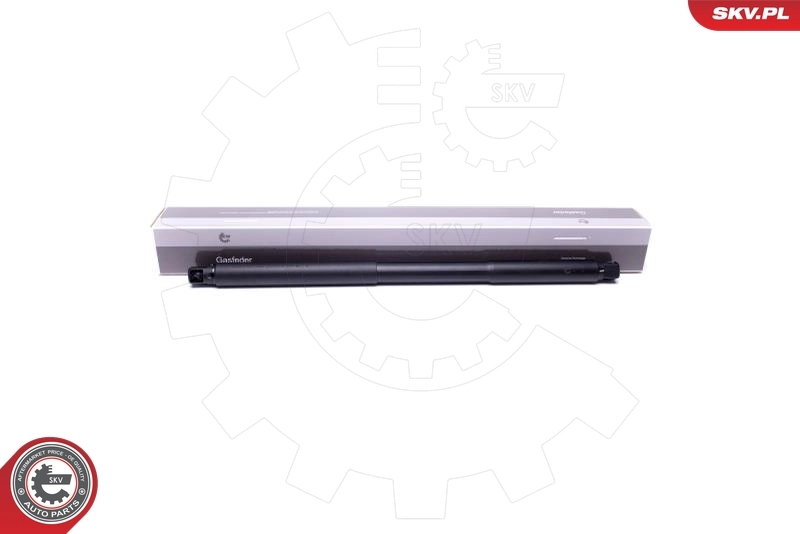 Electric Motor, tailgate
